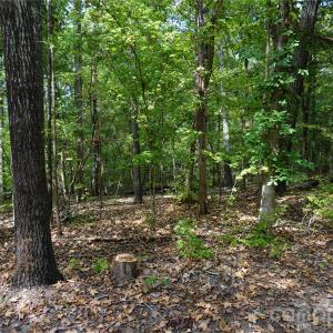 Photo #6 of 12+/- AC Parson, McConnells, SC