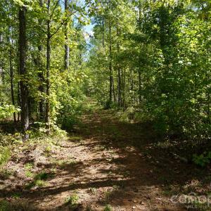 Photo #3 of 12+/- AC Parson, McConnells, SC