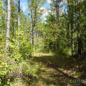 Photo #2 of 12+/- AC Parson, McConnells, SC