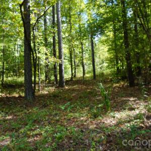 Photo #12 of 12+/- AC Parson, McConnells, SC