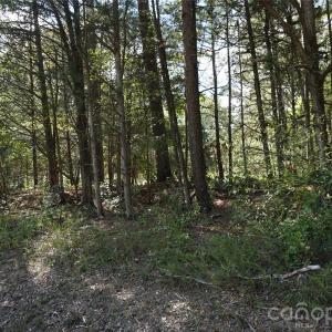 Photo #15 of 12+/- AC Parson, McConnells, SC
