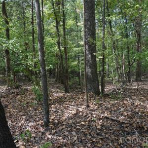 Photo #7 of 12+/- AC Parson, McConnells, SC
