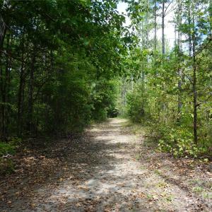 Photo #5 of 12+/- AC Parson, McConnells, SC