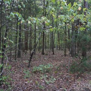 Photo #10 of 12+/- AC Parson, McConnells, SC
