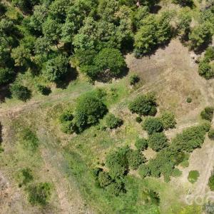 Photo #4 of 18+/- AC Lot 4 Parson, McConnells, SC
