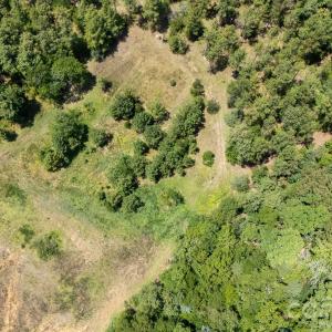 Photo #2 of 18+/- AC Lot 4 Parson, McConnells, SC