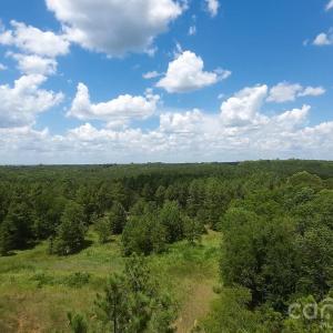 Photo #8 of 18+/- AC Lot 4 Parson, McConnells, SC