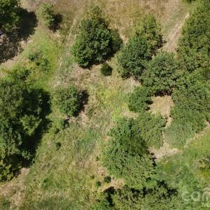 Photo #3 of 18+/- AC Lot 4 Parson, McConnells, SC