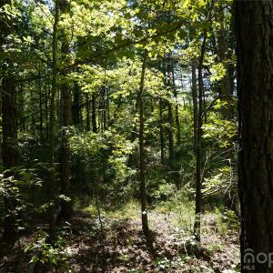Photo #6 of 18+/- AC Lot 4 Parson, McConnells, SC