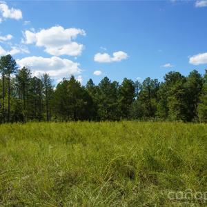 Photo #12 of 18+/- AC Lot 4 Parson, McConnells, SC