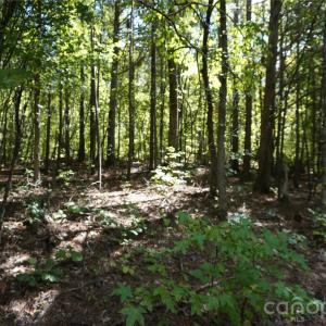 Photo #4 of 18+/- AC Lot 4 Parson, McConnells, SC