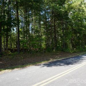 Photo #19 of 18+/- AC Lot 4 Parson, McConnells, SC