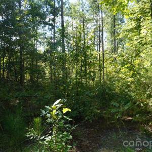 Photo #8 of 18+/- AC Lot 4 Parson, McConnells, SC