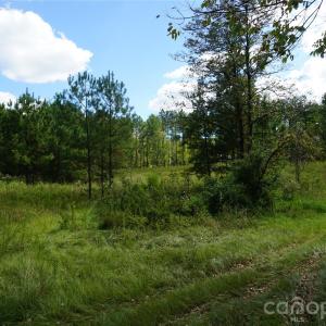 Photo #11 of 18+/- AC Lot 4 Parson, McConnells, SC