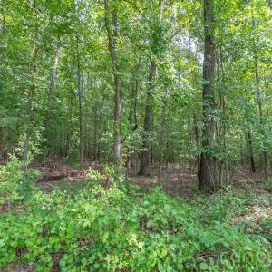 Photo #19 of Bigham, Waxhaw, NC