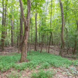 Photo #17 of Bigham, Waxhaw, NC