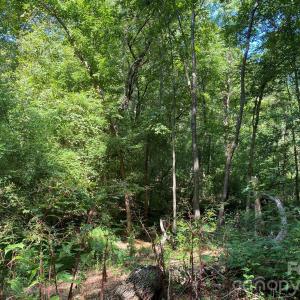 Photo #6 of 3317 Rilla Hamilton, Monroe, NC