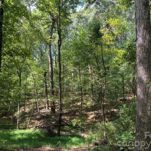 Photo #8 of 3317 Rilla Hamilton, Monroe, NC