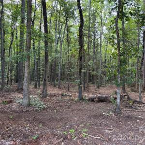 Photo #6 of 13.5 +/- Acres Mooresville, Mooresville, NC