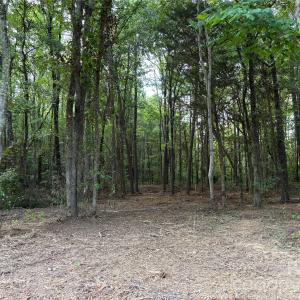Photo #5 of 13.5 +/- Acres Mooresville, Mooresville, NC