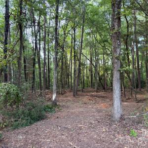 Photo #7 of 13.5 +/- Acres Mooresville, Mooresville, NC
