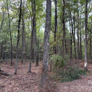 Photo #8 of 13.5 +/- Acres Mooresville, Mooresville, NC