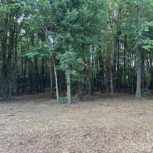 Photo #4 of 13.5 +/- Acres Mooresville, Mooresville, NC