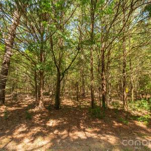 Photo #15 of Harkey, Waxhaw, NC