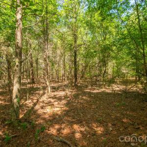Photo #17 of Harkey, Waxhaw, NC
