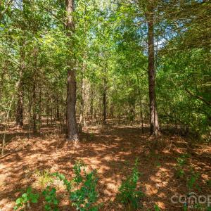 Photo #16 of Harkey, Waxhaw, NC