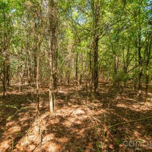 Photo #18 of Harkey, Waxhaw, NC