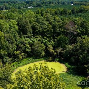 Photo #8 of 501 Cato, Pageland, SC