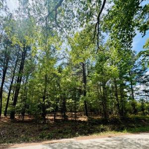 Photo #4 of 385 Elbert Baskins, Cheraw, SC