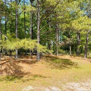 Photo #1 of 385 Elbert Baskins, Cheraw, SC