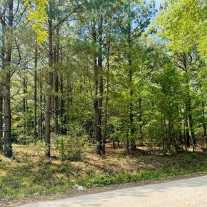 Photo #3 of 385 Elbert Baskins, Cheraw, SC