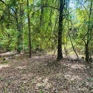 Photo #8 of 385 Elbert Baskins, Cheraw, SC
