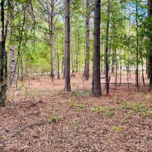 Photo #9 of 385 Elbert Baskins, Cheraw, SC