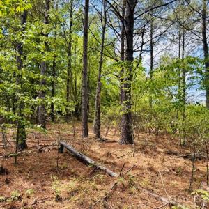 Photo #9 of 385 Elbert Baskins, Cheraw, SC