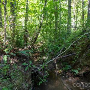 Photo #13 of Old Bradshaw, Salisbury, NC