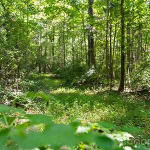 Photo #14 of Old Bradshaw, Salisbury, NC
