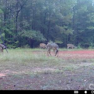Photo #20 of Hwy 215, Blair, SC