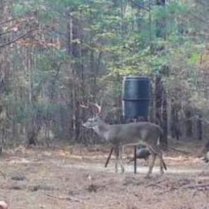Photo #18 of Hwy 215, Blair, SC