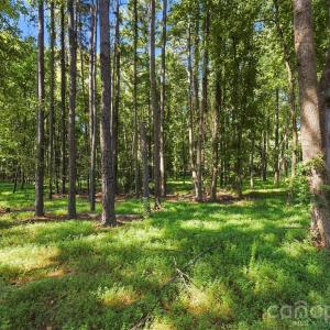 Photo #7 of 4277 Concord, York, SC