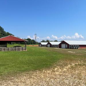 Photo #27 of 149 Thompson Farm, Rockingham, NC
