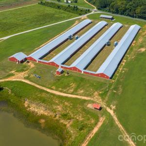 Photo #9 of 149 Thompson Farm, Rockingham, NC