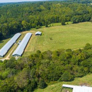 Photo #4 of 1706 Ross Wood, Trinity, NC
