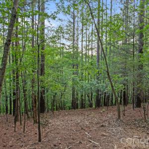 Photo #32 of Lucy Short Cut, Marshville, NC