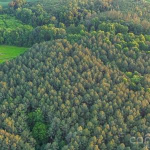 Photo #18 of Lucy Short Cut, Marshville, NC