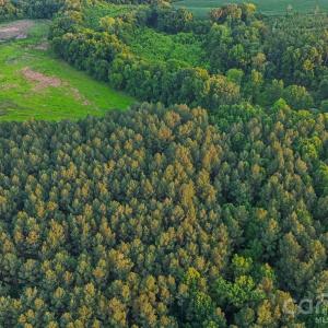Photo #19 of Lucy Short Cut, Marshville, NC