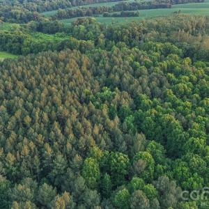Photo #29 of Lucy Short Cut, Marshville, NC